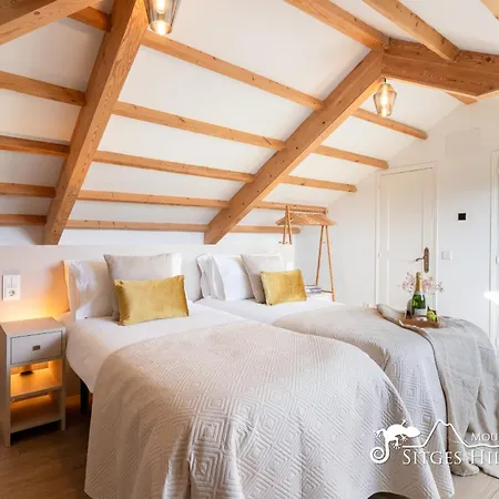 De Leones In Heart Of By And Town With A/c And Games Villa Sitges